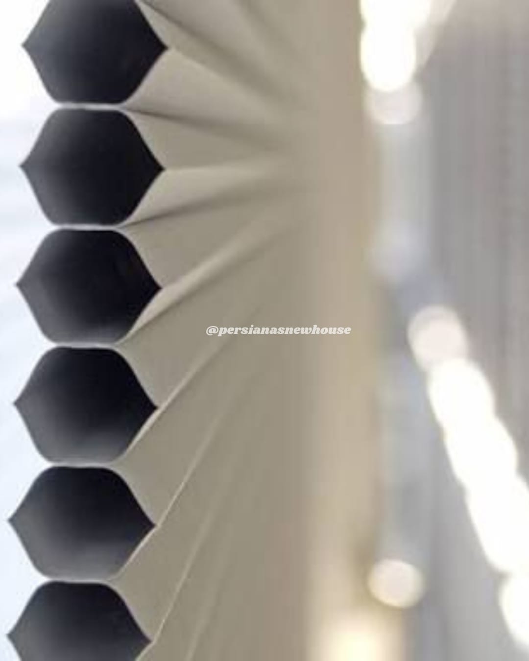 Detalhe das células em colmeia da cortina celular